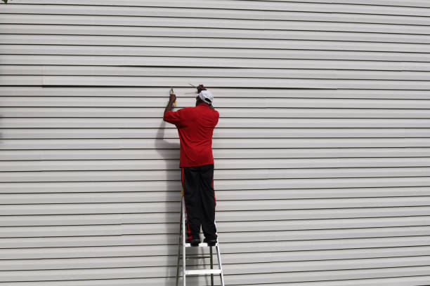 Best Siding Painting and Refinishing  in Gouldtown, NJ