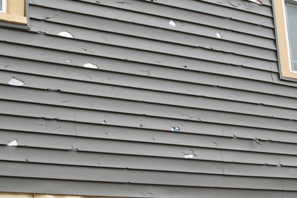 Affordable siding repair and maintenance services in Gouldtown, NJ