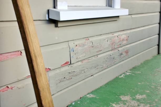 Best Historical Building Siding Restoration  in Gouldtown, NJ